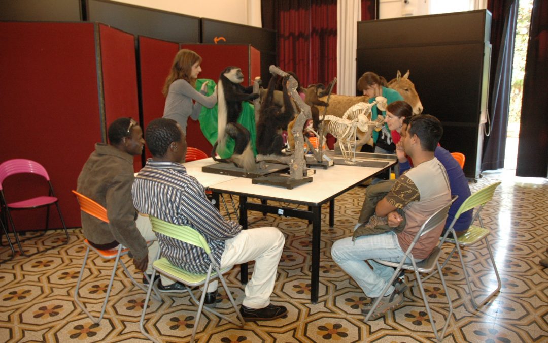 “Il Museo come spazio per l’inclusione culturale”